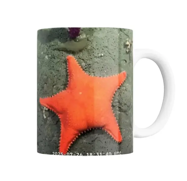 Taza de Cerámica Estrella Conicet de Mar Naranja Fondo Marino