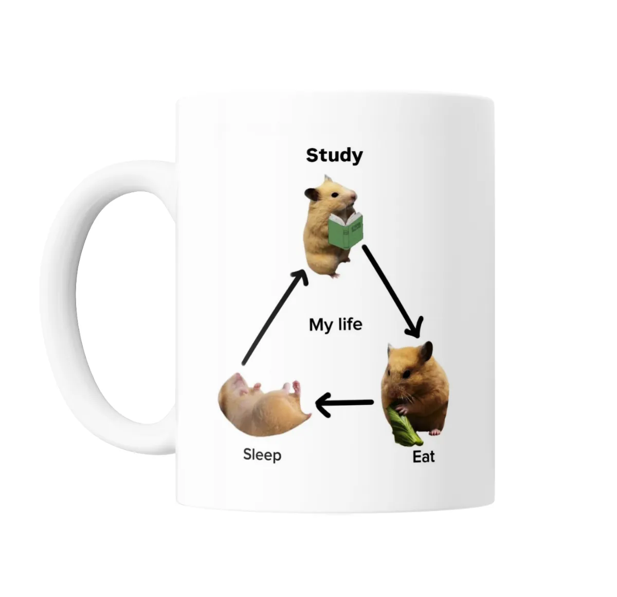 Taza de Cerámica Hamster Study Eat Sleep My Life - vista 2