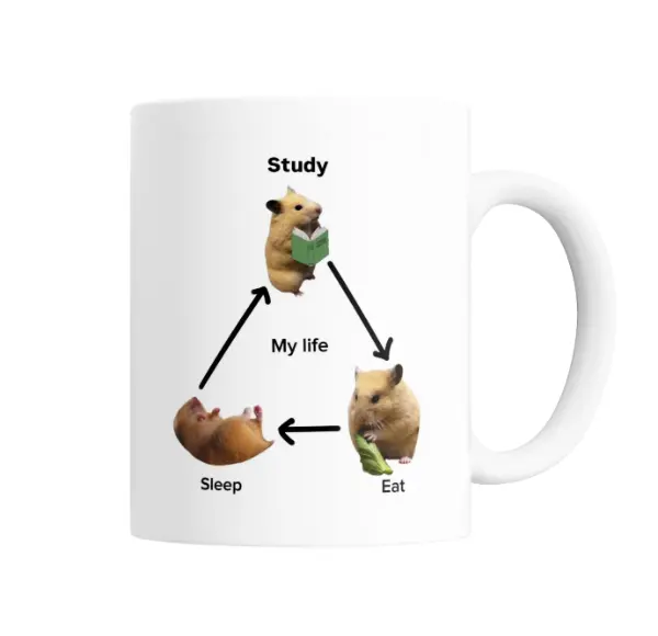 Taza de Cerámica Hamster Study Eat Sleep My Life