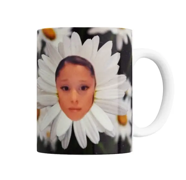 Taza de Cerámica Ariana Grande Cara en Margarita Meme